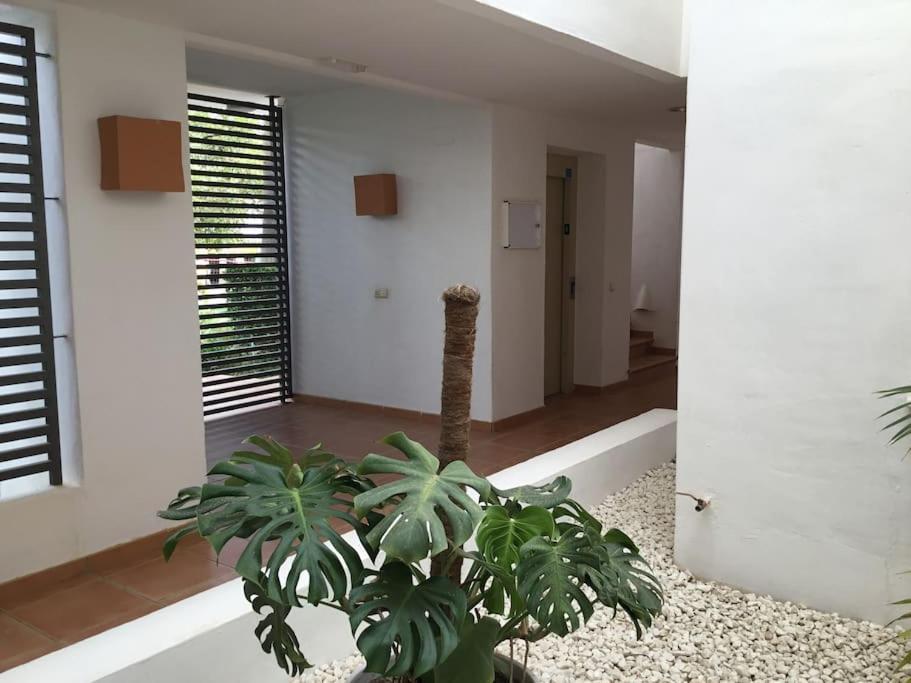 Alcazaba Blue Lagoon 3 Bedroom, Ground Floor Apartment Estepona Zewnętrze zdjęcie